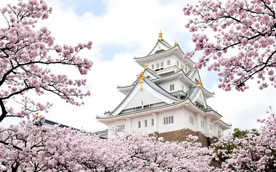 兵庫県の代表的な風景写真