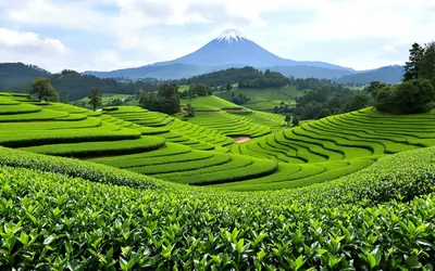 静岡県の代表的な風景写真