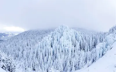 山形県の代表的な風景写真